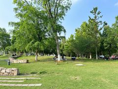 -盘龙城国家考古遗址公园