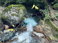 -西岭雪山大飞水景区