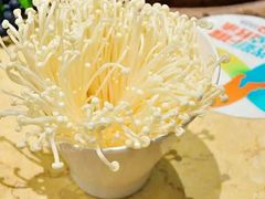 金针菇-九府羊鲜羊火锅·烧烤(海那城店)
