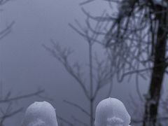 -太阳湾风景区