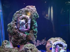-海合安武汉极地海洋公园
