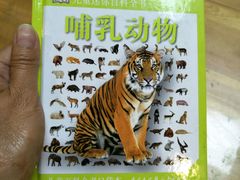 -斯玛特儿童美术中心(文化中心店)