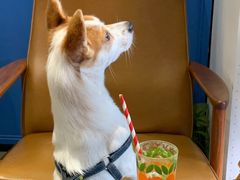 -argangKaffe(宝庆路店)