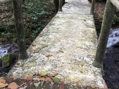 -德庆盘龙峡生态旅游区