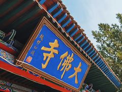 -张掖大佛寺景区