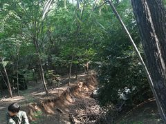 -亲兄弟真人CS团建拓展基地