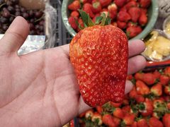 -家辉生鲜超市(东五路店)