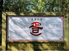 -北海金海湾红树林生态旅游区