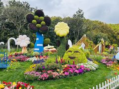 -上海共青森林公园