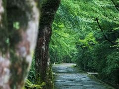 -法云安缦酒店