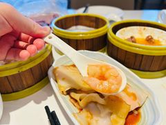 -东方早茶 海鲜•青岛菜(国信体育中心店)