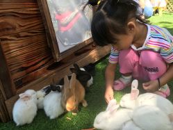 -萌宠亲子动物乐园(槐房万达店)