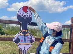 -盐城丹顶鹤湿地生态旅游区