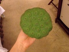 大成国际大酒店-长沙大成国际大酒店