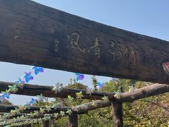 -南汇桃花村