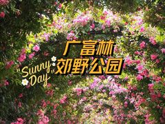 -广富林郊野公园