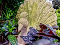 -厦门日月谷温泉渡假村