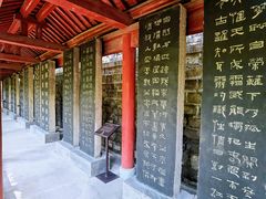 -碑林公园