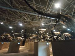 -世界恐龙谷景区