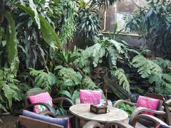 -Fern Forest Cafe