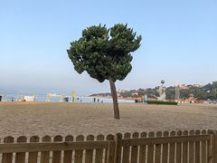 -青岛第一海水浴场