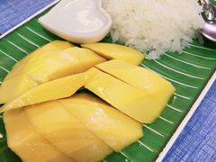 -陳妈妈泰国菜