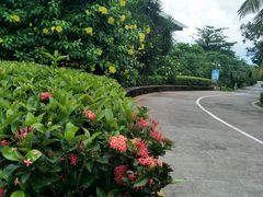 -海口观澜湖火山温泉谷