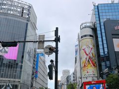 -涩谷全向十字路口