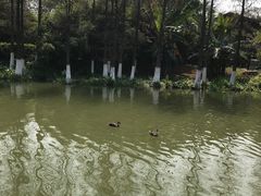 -海珠湖公园