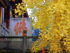 -金堂县云顶石城风景区