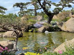 -罗红摄影艺术馆