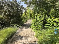 -党河风情线国家水利风景区