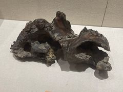 -海口市博物馆