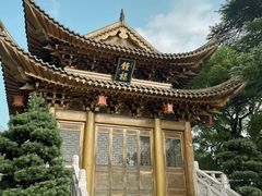 -上海东林寺(金山区)