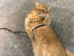 -想见你(咖啡·茶饮·甜品·江汉路店)