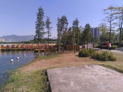-飞来湖湿地公园