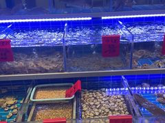 -金海湾海鲜排档(朱家尖店)