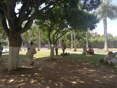 校园-厦门大学(思明校区)