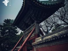 -隆兴寺