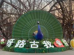 -呀路古热带植物园