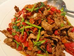 -洞庭家宴·头牌甲鱼(广渠门店)