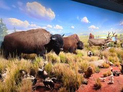 -陕西自然博物馆