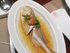 葱油深海黄鱼-金鼎大酒店·中餐