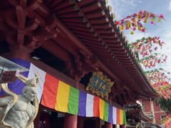-新加坡佛牙寺龙华院