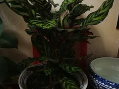 -三旗百汇商品城