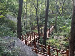 -大岭沟猕猴桃谷风景区
