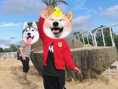 -上海月湖雕塑公园