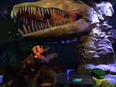 -悉尼海洋生物水族馆