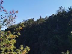 -刘伯温故里景区百丈漈