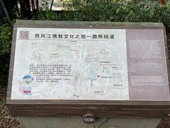 -南宁良凤江国家森林公园